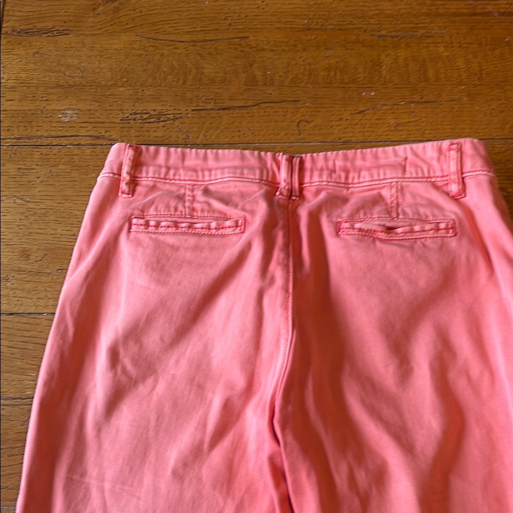 Pilcro and the letterpress Stet Size 28 Pink/Orange Pants - Picture 5 of 7